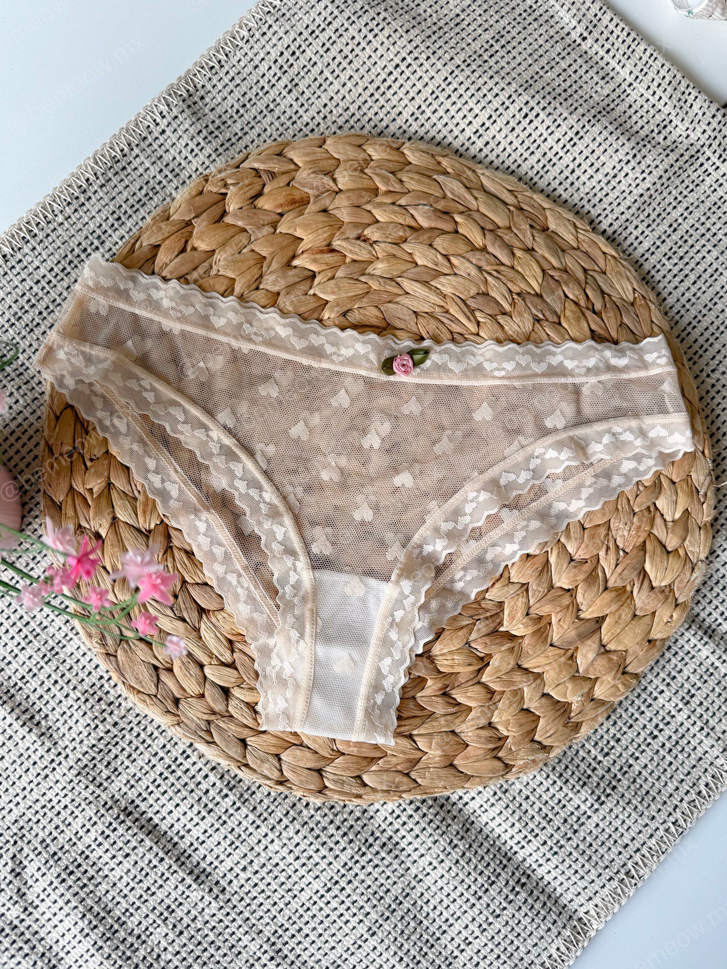 Set 3 Pantys Mesh Encaje